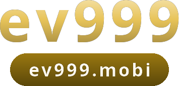 ev999 logo